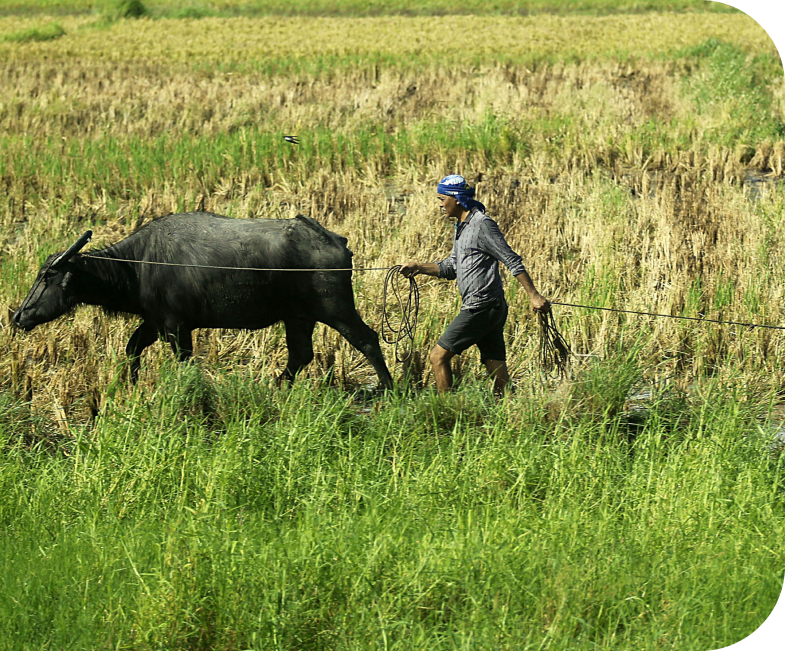 Farmer Image